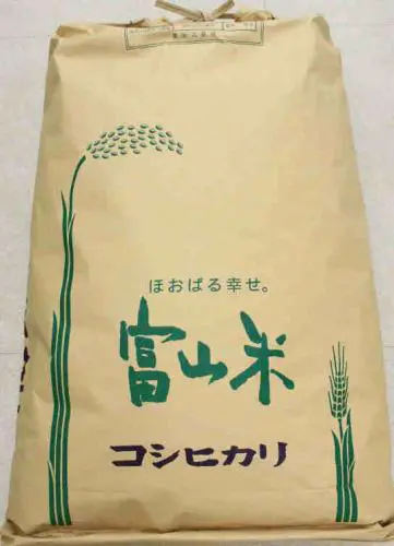 ぺこり！コシヒカリ30kg！ 令和7年産 コシヒカリ玄米30kg | JAくろべ