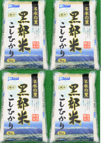 新潟産 コシヒカリ 5kg✖️4袋 令和6年度産 コシヒカリ精米5kg 4袋入 | JAくろべ