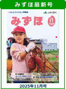 みずほ2025年11月