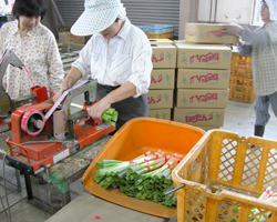 hanbai
