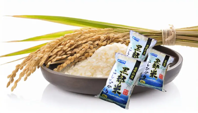 令和6年度産 コシヒカリ精米10kg | JAくろべ