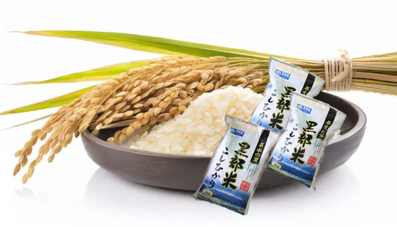 令和6年度産　コシヒカリ 令和6年度産 コシヒカリ精米5kg | JAくろべ